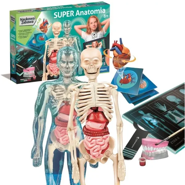 Clementoni - Super Anatomia (50919) - zdjęcie 2