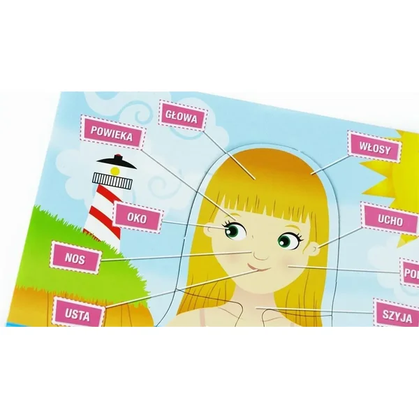 Lisciani - Ciało człowieka (364728) - zdjęcie 3