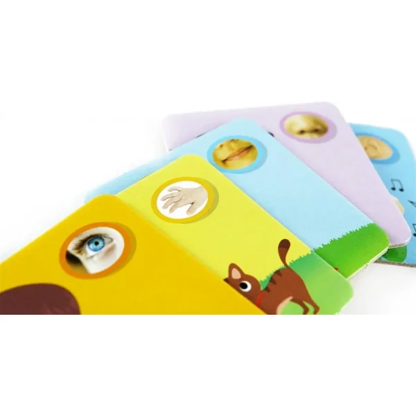 Lisciani - Ciało człowieka (364728) - zdjęcie 5