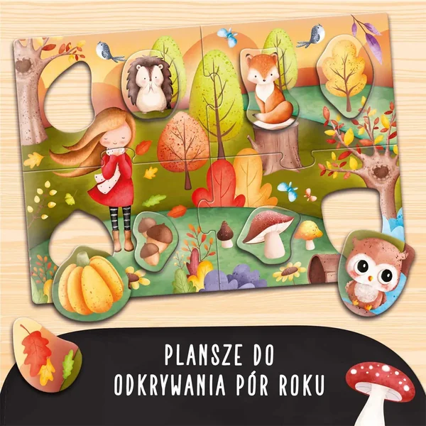 Lisciani - Carotina cię nauczy! Pory Roku (610932) - zdjęcie 3