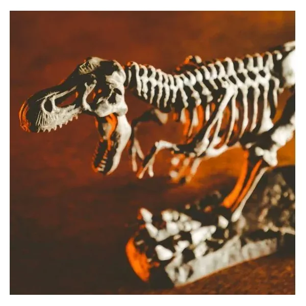 Lisciani - Crazy Science - Smoki i dinozaury (89390) - zdjęcie 3