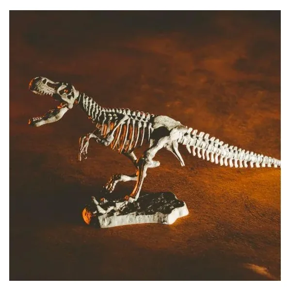 Lisciani - Crazy Science - Smoki i dinozaury (89390) - zdjęcie 7