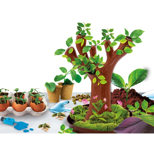 Lisciani - Mały geniusz - Nauka w domu botanika (554453) - zdjęcie 2