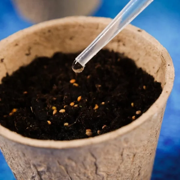 Lisciani - Mały geniusz - Nauka w domu botanika (554453) - zdjęcie 4