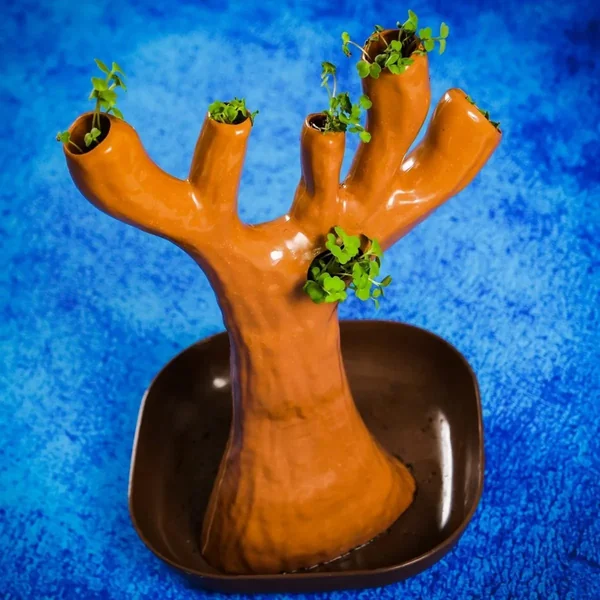 Lisciani - Mały geniusz - Nauka w domu botanika (554453) - zdjęcie 5