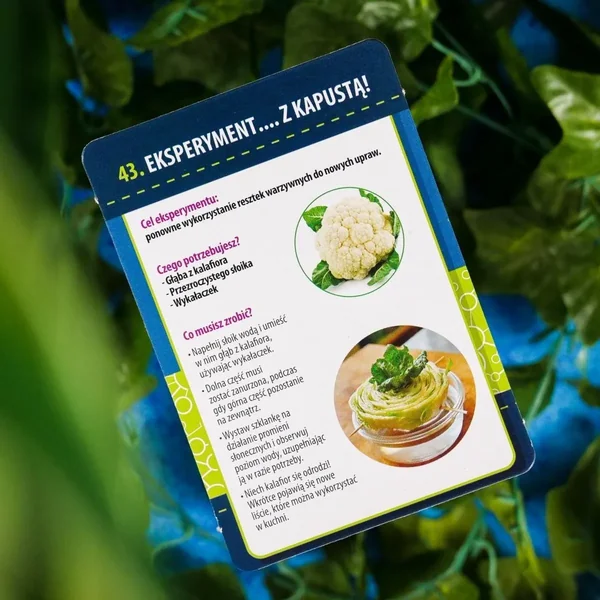 Lisciani - Mały geniusz - Nauka w domu botanika (554453) - zdjęcie 7