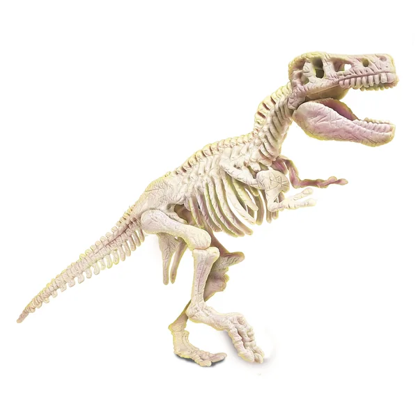 Clementoni - Zestaw edukacyjny Skamieniałości T-Rex fluorescencyjny - model 154425 - zdjęcie 3