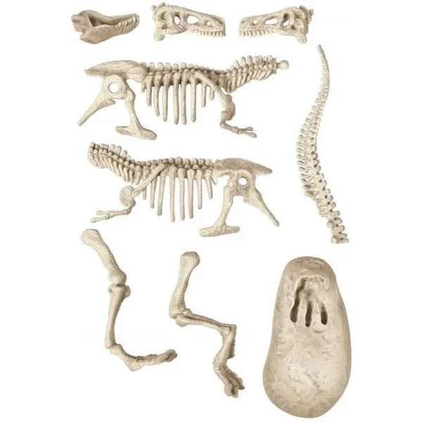Clementoni - Zestaw edukacyjny Skamieniałości T-Rex fluorescencyjny - model 154425 - zdjęcie 4