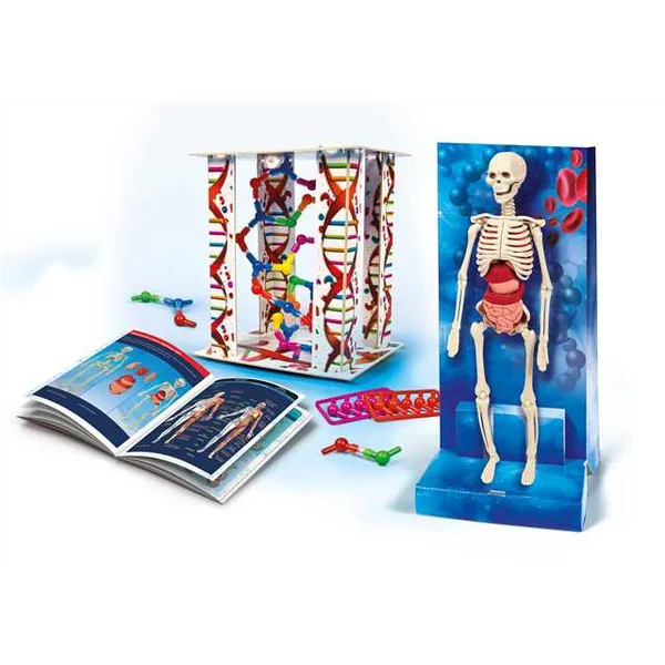 Clementoni - Naukowa zabawa Ciało ludzkie (171677) - zdjęcie 2